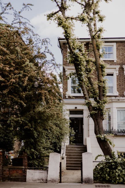 A three-story Victorian residential building with a brick façade and white window frames, situated on a tree-lined street. A large leaning tree with branches extending across the front partially obscures the upper floors. The entrance is accessed by a short flight of concrete steps flanked by white concrete walls, leading to a black door with surrounding white trim. In front of the house, there is an outdoor area with dense greenery, including shrubs and small plants. The scene is lit by natural daylight, highlighting the architectural features of the property. This setting depicts a typical house suitable for professional removals and home relocation services, with elements indicating recent or upcoming furniture transport and packing activities.