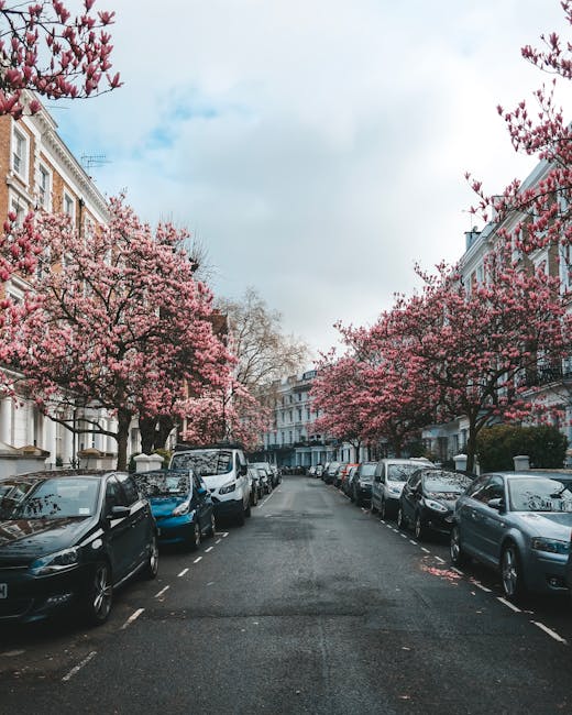 A residential street lined with parked cars on both sides and pink blossom trees in full bloom overhead, creating a canopy along the pavement. In the foreground, several cardboard boxes, wrapped furniture, and plastic covers are visible on the roadway, indicating ongoing home relocation or packing activities. The scene is illuminated by natural daylight with a partly cloudy sky overhead. The street is within an urban area featuring Victorian-style terraced houses with white facades and decorative architectural details. A removal van from Removal Van Kensington is parked nearby, with some moving equipment such as trolleys and straps likely being used to assist loading and transport processes related to furniture transport and house removals, consistent with the context of complying with Kensington and Chelsea council permit rules for moving. The overall scene captures the logistical steps involved in a professional move within a residential neighbourhood.
